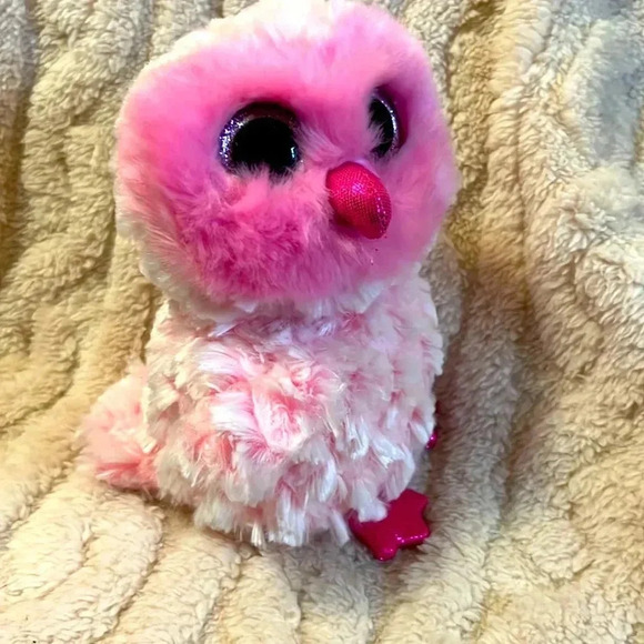 Ty Beanie Boo Owl - Picture 1 of 5